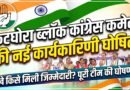 कटघोरा शहर ब्लॉक कांग्रेस कमेटी की नई कार्यकारिणी घोषित, कई नेताओं को मिली जिम्मेदारी.